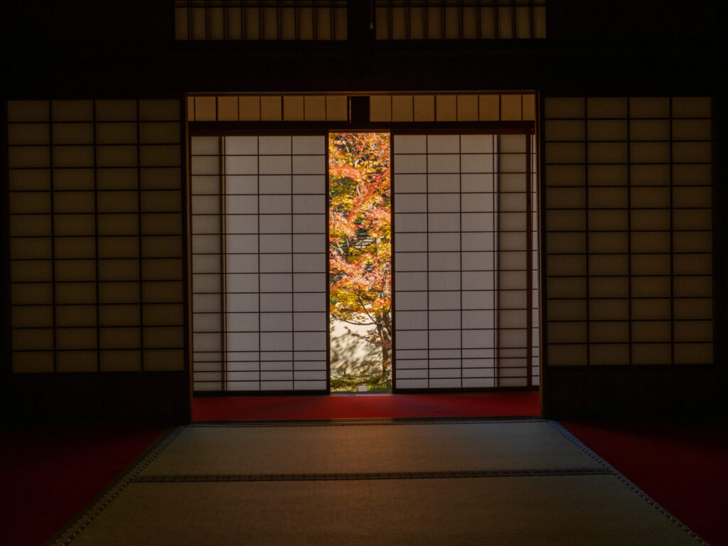 庭と繋がる平屋
