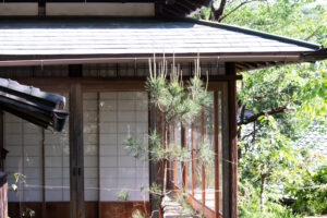 障子と縁側のガラス戸越しに庭の松が見える和の住まいの外まわり